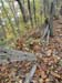 DSC02348.jpg