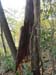 DSC02350.jpg