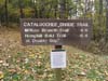 DSC02351.jpg