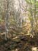 DSC02356.jpg