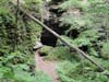 DSC02436.jpg