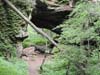 DSC02437.jpg
