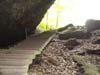 DSC02440.jpg