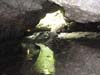 DSC02449.jpg