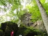 DSC02463.jpg