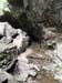 DSC02465.jpg