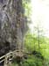 DSC02466.jpg