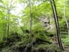 DSC02468.jpg