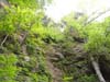 DSC02470.jpg