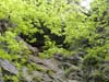 DSC02471.jpg