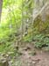 DSC02477.jpg