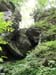 DSC02480.jpg