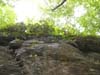 DSC02485.jpg