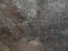 DSC02490.jpg