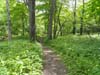 DSC02499.jpg