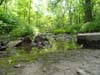 DSC02502.jpg