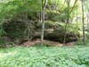 DSC02504.jpg