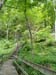 DSC02506.jpg