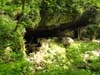 DSC02510.jpg