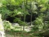 DSC02515.jpg