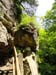 DSC02516.jpg