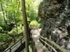 DSC02517.jpg