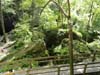 DSC02518.jpg