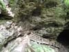 DSC02520.jpg