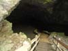 DSC02523.jpg