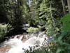 DSC02588.jpg