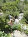 DSC02604.jpg