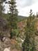 DSC02614.jpg