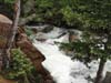 DSC02623.jpg