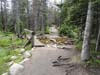 DSC02631.jpg