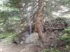 DSC02633.jpg
