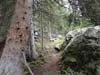 DSC02665.jpg