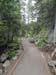 DSC02667.jpg
