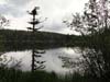 DSC02668.jpg