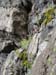 DSC02671.jpg