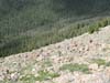 DSC02719.jpg