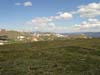 DSC02737.jpg