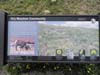 DSC02750.jpg