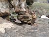 DSC02755.jpg