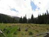 DSC02779.jpg