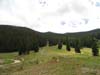 DSC02780.jpg
