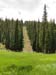 DSC02782.jpg