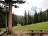 DSC02787.jpg