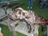 DSC02966.jpg