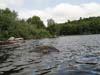 DSC02978.jpg