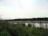 DSC02988.jpg